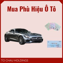 Mua Phù Hiệu Ô Tô Tại Điện Biên