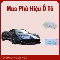 Mua Phù Hiệu Ô Tô Tại Lai Châu