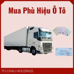 Mua Phù Hiệu Ô Tô Tại Lạng Sơn