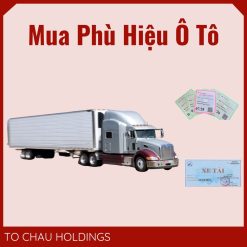 Mua Phù Hiệu Ô Tô Tại Lào Cai