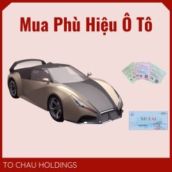 Mua Phù Hiệu Ô Tô Tại Thái Nguyên