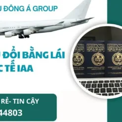 ĐỔI BẰNG LÁI XE QUỐC TẾ IAA ĐƠN GIẢN NHANH CHÓNG NHẤT Ở HỒ CHÍNH MINH