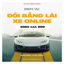 Dịch vụ đổi bằng lái xe online nhanh chóng số 1 tại Hồ Chí Minh