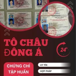 DỊCH VỤ LÀM THẺ CHỨNG CHỈ TẬP HUẤN NGHIỆP VỤ LÁI XE Ở HUẾ
