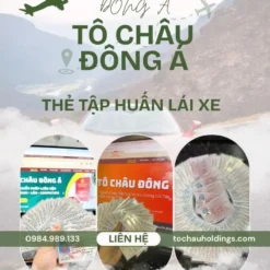 CẤP THẺ TẬP HUẤN LÁI XE KDVT Ở CÀ MAU