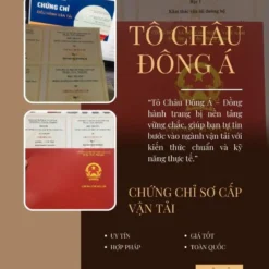 ĐÀO TẠO VÀ CẤP CHỨNG CHỈ SƠ CẤP VẬN TẢI Ở VĨNH LONG