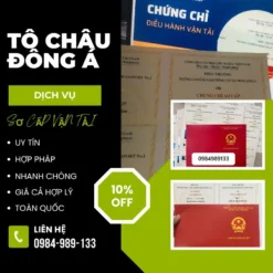 HỌC CHỨNG CHỈ ĐIỀU HÀNH SƠ CẤP VẬN TẢI Ở QUẢNG NINH