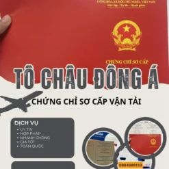 CẤP CHỨNG CHỈ ĐIỀU HÀNH SƠ CẤP VẬN TẢI Ở AN GIANG