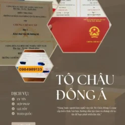 KHÓA HỌC CHỨNG CHỈ SƠ CẤP VẬN TẢI Ở CẦN THƠ