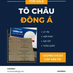 KHÓA ĐÀO TẠO CHỨNG CHỈ SƠ CẤP VẬN TẢI Ở ĐỒNG THÁP