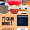 ĐÀO TẠO VÀ CẤP CHỨNG CHỈ SƠ CẤP VẬN TẢI Ở GIA LAI