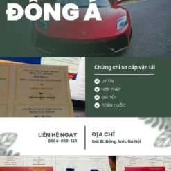 KHÓA HỌC CHỨNG CHỈ SƠ CẤP VẬ TẢI Ở TP. HẢI PHÒNG