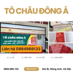 CẤP GIẤY PHÉP LIÊN VẬN VIỆT-LÀO Ở HUẾ