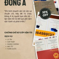 CẤP CHỨNG CHỈ SƠ CẤP VẬN TẢI Ở QUẢNG NGÃI