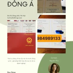 ĐÀO TẠO CHỨNG CHỈ SƠ CẤP VẬN TẢI Ở TUYÊN QUANG