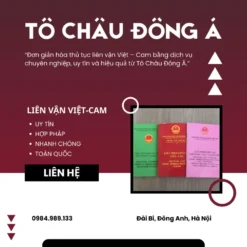 LÀM GIẤY PHÉP LIÊN VẬN VIỆT-CAM Ở CAO BẰNG