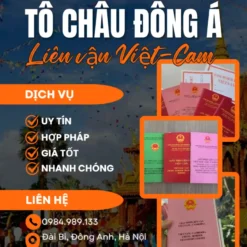 GIẤY PHÉP LIÊN VẬN VIỆT-CAM UY TÍN VÀ NHANH CHÓNG Ở HUẾ