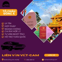 GIẤY PHÉP LIÊN VẬN VIỆT CAM NHANH VÀ UY TÍN Ở QUẢNG NGÃI