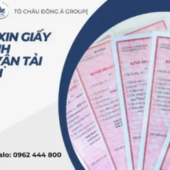 Dịch Vụ Xin Giấy Phép Kinh Doanh Vận Tải Tại Cao Bằng