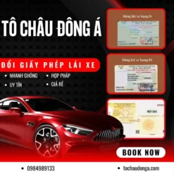 DỊCH VỤ ĐỔI BÀNG LÁI XE Ô TÔ ONLINE UY TÍN Ở QUẢNG NGÃI