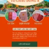 DỊCH VỤ GIẤY PHÉP LIÊN VẬN VIỆT-CAM Ở CÀ MAU