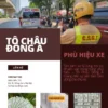 MUA PHÙ HIỆU XE Ô TÔ Ở CÀ MAU
