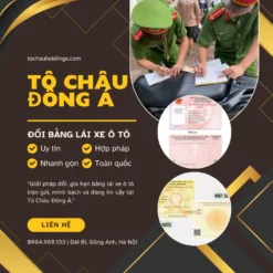 DỊCH VỤ ĐỔI BẰNG LÁI XE Ô TÔ ONLINE Ở CÀ MÀU