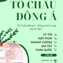 DỊCH VỤ ĐỔI BẰNG LÁI XE ONLINE UY TÍN Ở CẦN THỜ