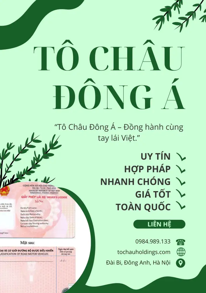 đại diện ct