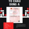 DỊCH VỤ ĐỔI BẰNG LÁI XE ONLINE Ở ĐÀ NẴNG