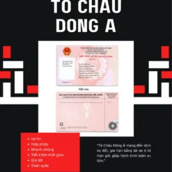 DỊCH VỤ ĐỔI BẰNG LÁI XE ONLINE Ở ĐÀ NẴNG