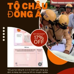 DỊCH VỤ ĐỔI BẰNG LÁI XE Ô TÔ ONLINE Ở ĐỒNG NAI