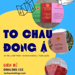 LÀM GIẤY PHÉP LIÊN VẬN VIỆT-CAM Ở TP. HỒ CHÍ MINH