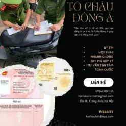 DỊCH VỤ ĐỔI BẰNG LÁI XE Ô TÔ ONLINE Ở KHÁNH HÒA