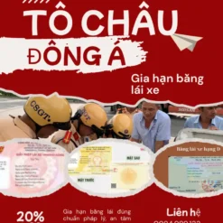 DỊCH VỤ ĐỔI BẰNG LÁI XE Ô TÔ UY TÍN Ở LAI CHÂU