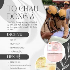 DỊCH VỤ ĐỔI BẰNG LÁI XE Ô TÔ Ở LÂM ĐỒNG