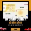 ĐỔI GIẤY PHÉP LÁI XE Ô TÔ Ở NGHỆ AN