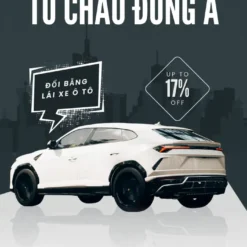 DỊCH VỤ ĐỔI BẰNG LÁI XE Ô TÔ ONLINE Ở PHÚ THỌ