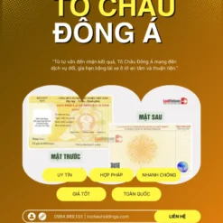 DỊCH VỤ ĐỔI BẰNG LÁI XE Ô TÔ Ở QUẢNG NINH