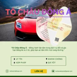 DỊCH VỤ ĐỔI GIẤY PHÉP LÁI XE Ô TÔ Ở THANH HÓA