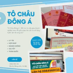 CẤP GIẤY PHÉP LIÊN VẬN VIỆT-LÀO Ở VĨNH LONG