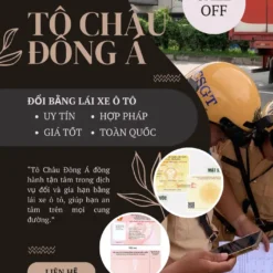 DỊCH VỤ ĐỔI GIẤY PHÉP LÁI XE ONLINE Ở VĨNH LONG