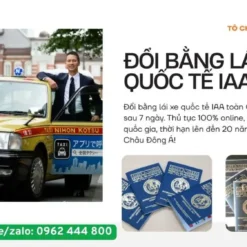 Dịch Vụ Đổi Bằng Lái Xe Quốc Tế IAA Tại Hải Phòng Uy Tín, Lấy Nhanh