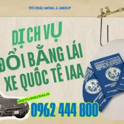 Dịch Vụ Đổi Bằng Lái Xe Quốc Tế IAA Tại Đồng Nai