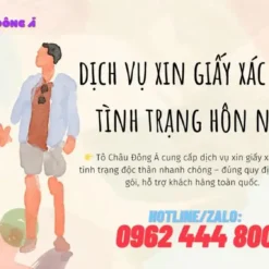 Dịch Vụ Xin Giấy Xác Nhận Tình Trạng Hôn Nhân Uy Tín Tại Hồ Chí Minh