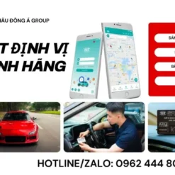 Lắp Đặt Định Vị Ô Tô Hợp Chuẩn Tại Thanh Hóa: Nhanh Chóng, Uy Tín, Đăng Kiểm Ngay!