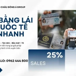 Dịch Vụ Đổi Bằng Lái Xe Quốc Tế IAA Uy Tín, Nhanh Chóng Tại Bắc Ninh