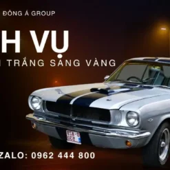 Dịch Vụ Đổi Biển Số Xe Trắng Sang Vàng Trọn Gói Tại Ninh Bình