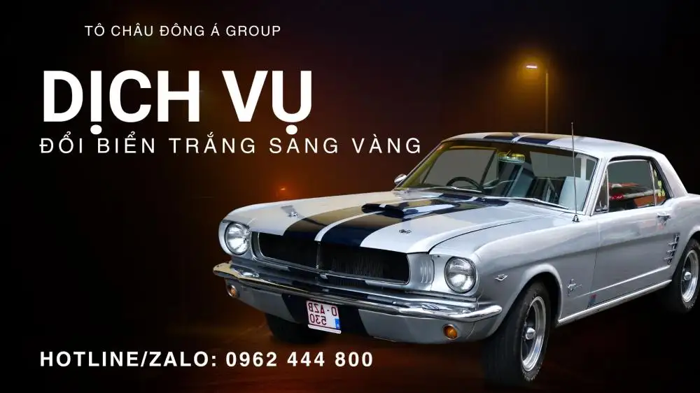 đổi biển trắng sang vàng trọn gói (!)