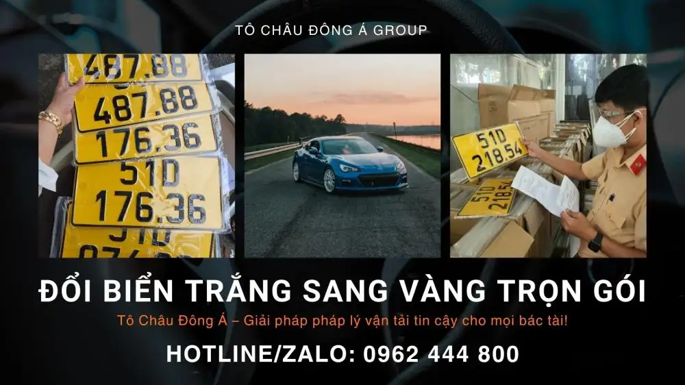 đổi biển trắng sang vàng trọn gói
